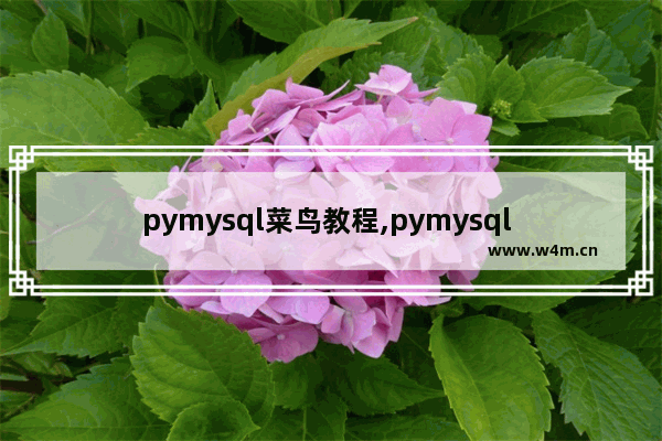 pymysql菜鸟教程,pymysql 使用