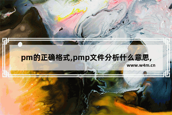 pm的正确格式,pmp文件分析什么意思,PMP格式详解