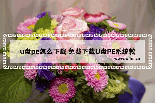 u盘pe怎么下载 免费下载U盘PE系统教程