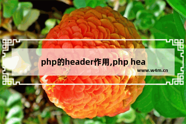 php的header作用,php header(),PHP之header函数详解