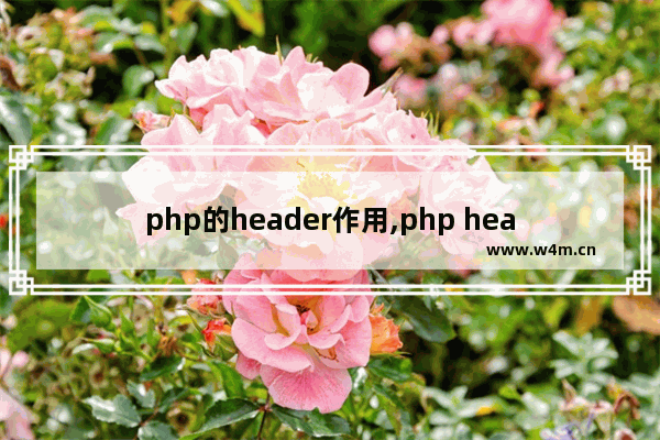 php的header作用,php header(),PHP之header函数详解