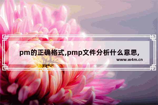 pm的正确格式,pmp文件分析什么意思,PMP格式详解