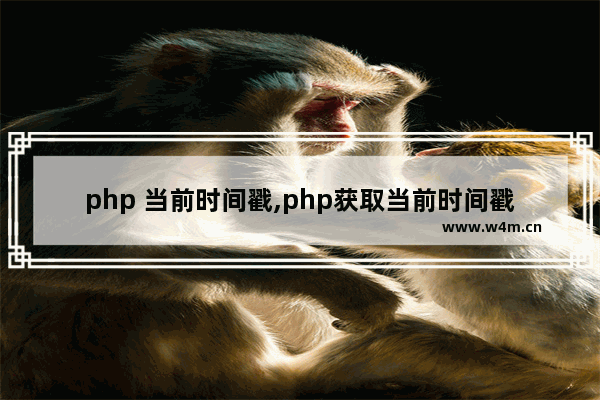 php 当前时间戳,php获取当前时间戳的函数