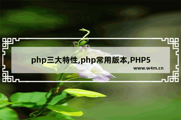 php三大特性,php常用版本,PHP5各个版本的新功能和新特性总结