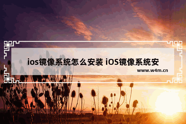 ios镜像系统怎么安装 iOS镜像系统安装教程