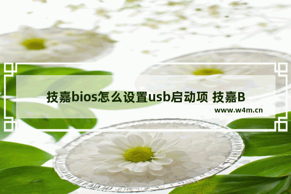 技嘉bios怎么设置usb启动项 技嘉BIOS USB启动设置指南