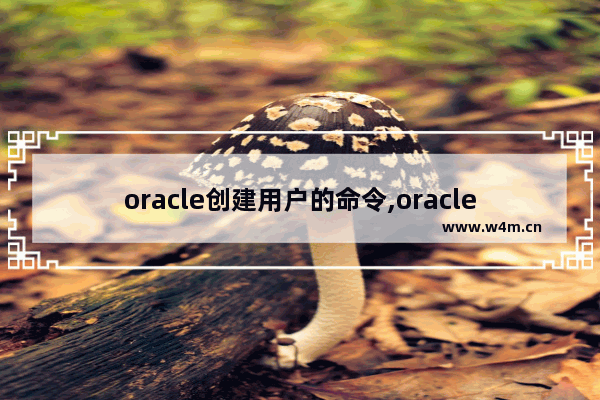 oracle创建用户的命令,oracle创建用户的语句