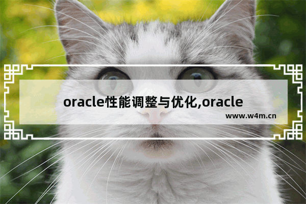 oracle性能调整与优化,oracle 性能调优