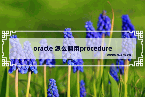 oracle 怎么调用procedure,oracle中procedure什么意思啊