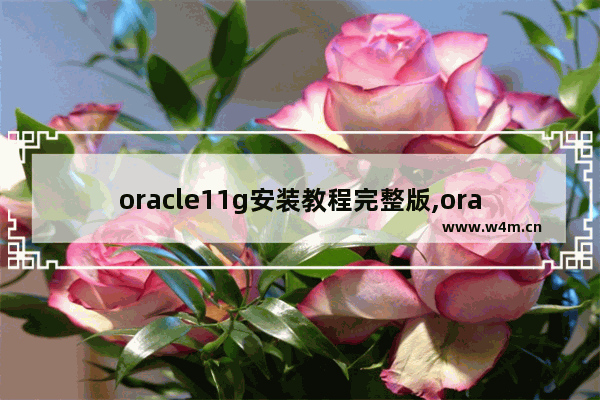 oracle11g安装教程完整版,oracle11g安装包下载