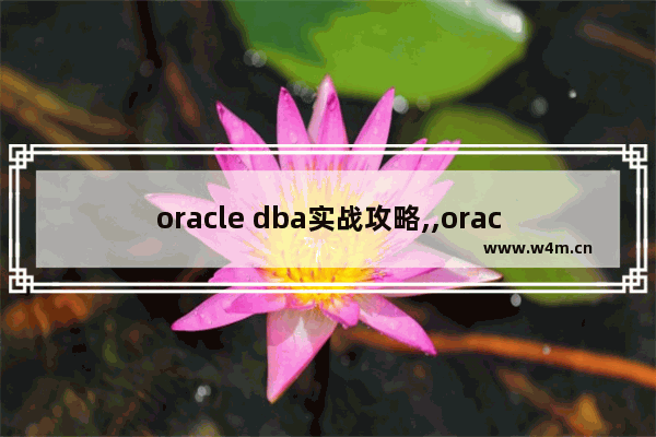 oracle dba实战攻略,,oracle dba 应该熟悉的命令