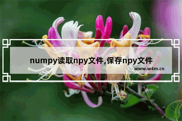 numpy读取npy文件,保存npy文件,numpy的文件存储.npy .npz 文件详解