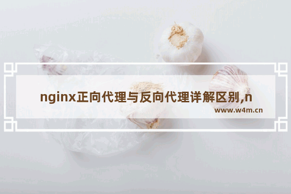 nginx正向代理与反向代理详解区别,nginx的正向代理和反向代理