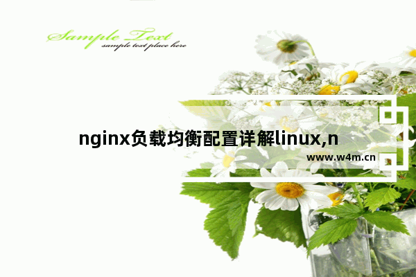 nginx负载均衡配置详解linux,nginx负载均衡服务器对性能有要求吗