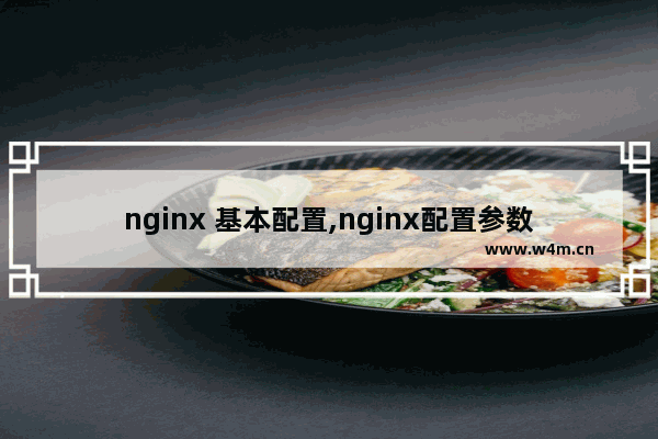 nginx 基本配置,nginx配置参数详解,Nginx配置使用详解