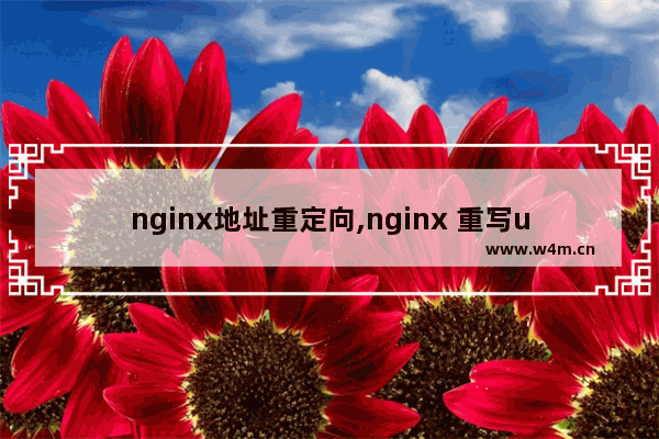 nginx地址重定向,nginx 重写url