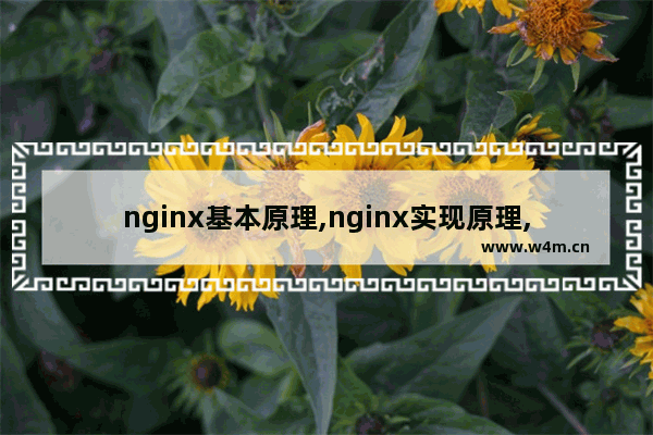 nginx基本原理,nginx实现原理,详解Nginx 工作原理