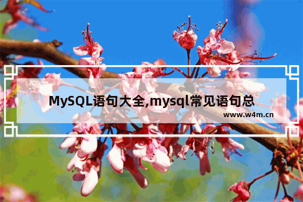 MySQL语句大全,mysql常见语句总结