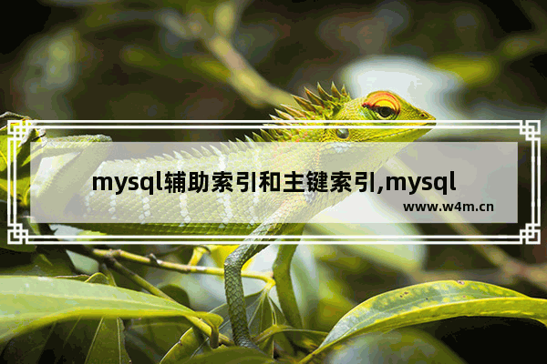 mysql辅助索引和主键索引,mysql 主键 外键 索引