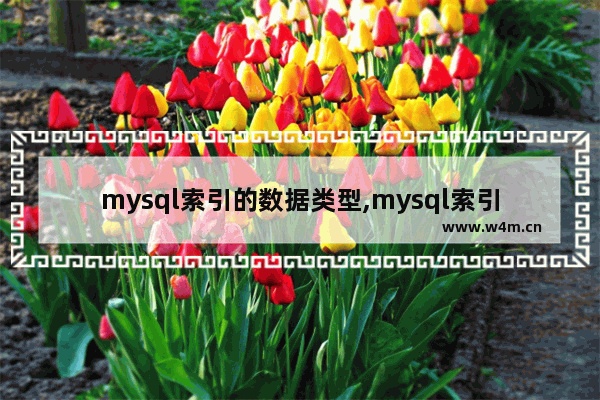 mysql索引的数据类型,mysql索引类型和索引方法