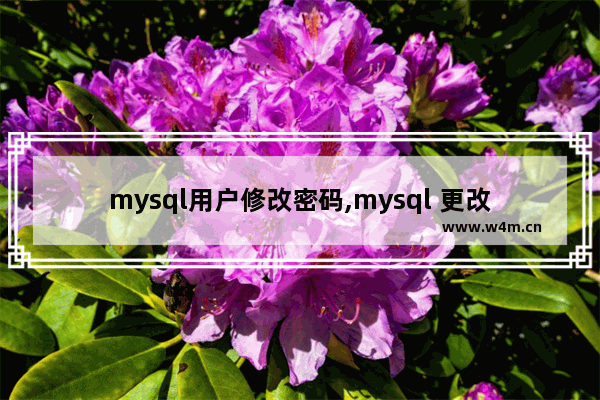 mysql用户修改密码,mysql 更改密码