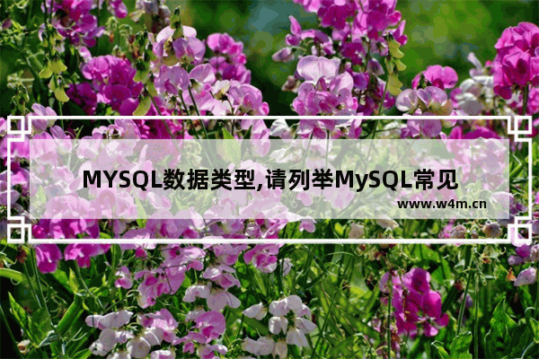 MYSQL数据类型,请列举MySQL常见的数据类型