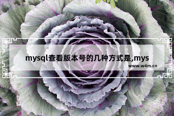 mysql查看版本号的几种方式是,mysql查看版本号的几种方式怎么查