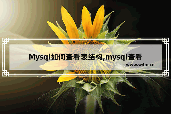 Mysql如何查看表结构,mysql查看数据表结构