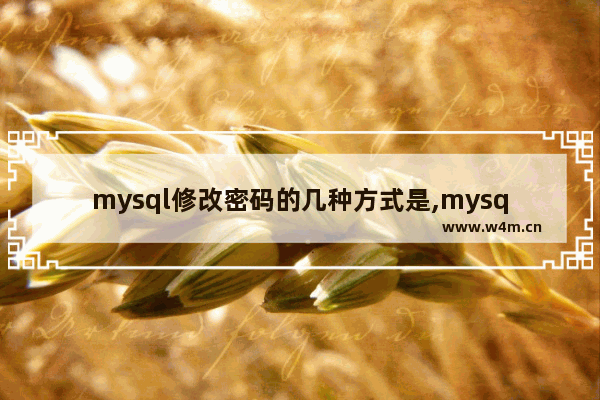 mysql修改密码的几种方式是,mysql修改密码的几种方式选择