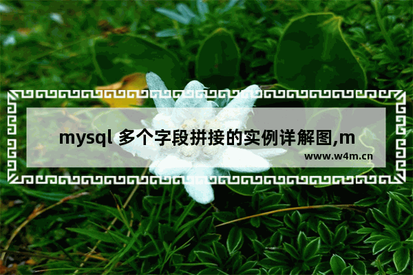 mysql 多个字段拼接的实例详解图,mysql 多个字段拼接的实例详解是什么