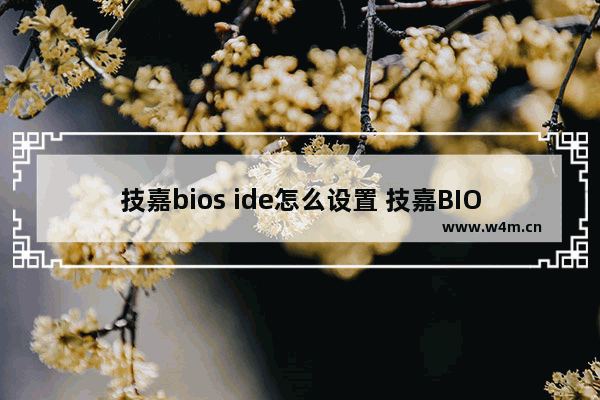 技嘉bios ide怎么设置 技嘉BIOS IDE设置方法