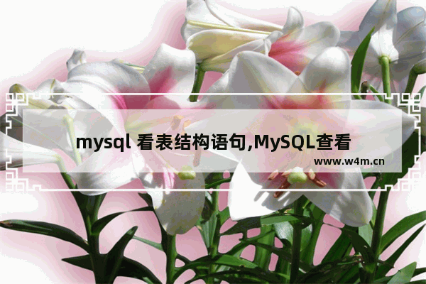 mysql 看表结构语句,MySQL查看表结构,mysql查看表结构的三种方法总结