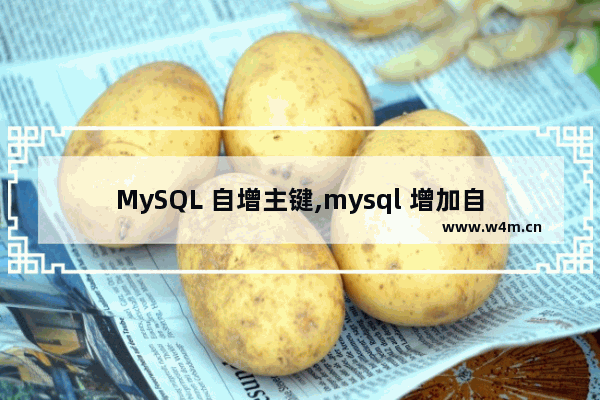 MySQL 自增主键,mysql 增加自增主键,详解MySQL自增主键的实现