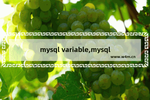 mysql variable,mysql variables参数值在哪