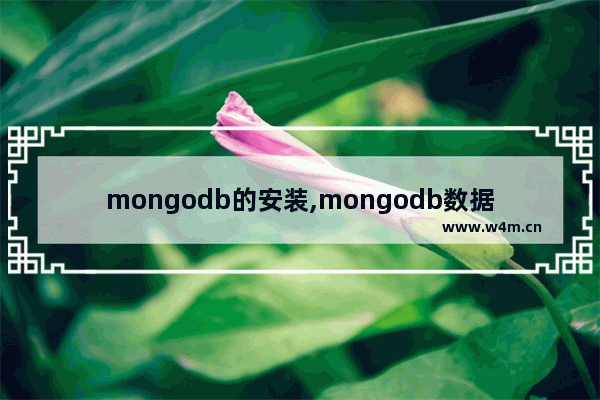 mongodb的安装,mongodb数据库下载安装