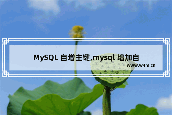 MySQL 自增主键,mysql 增加自增主键,详解MySQL自增主键的实现