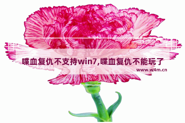 喋血复仇不支持win7,喋血复仇不能玩了