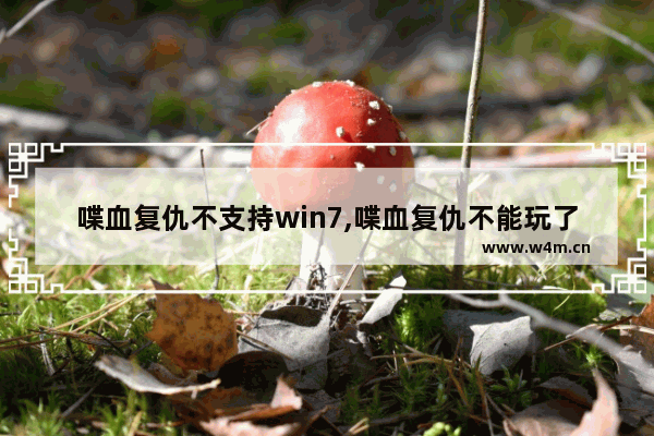 喋血复仇不支持win7,喋血复仇不能玩了