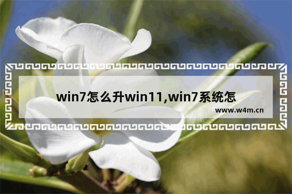 win7怎么升win11,win7系统怎么升级win11