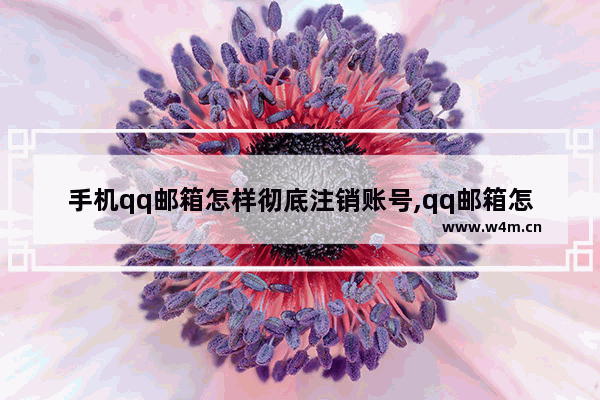 手机qq邮箱怎样彻底注销账号,qq邮箱怎么注销