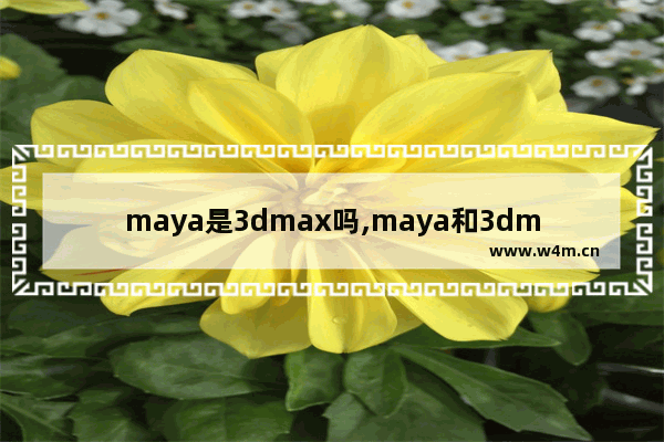 maya是3dmax吗,maya和3dmax哪个简单