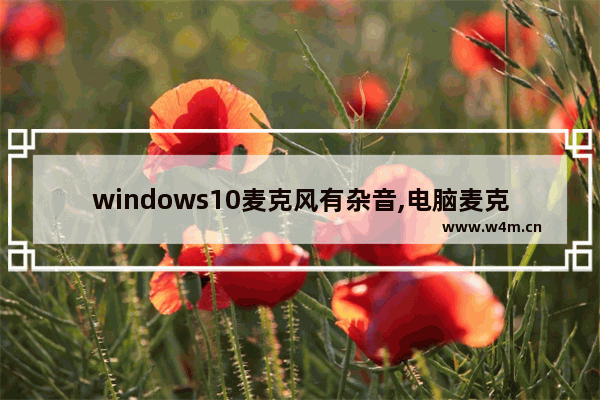 windows10麦克风有杂音,电脑麦克风有杂音怎么消除w10