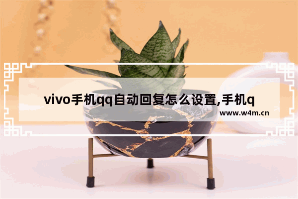 vivo手机qq自动回复怎么设置,手机qq自动回复怎么设置给一个人