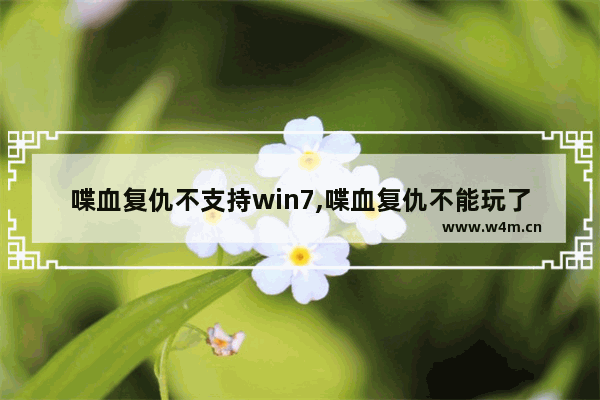 喋血复仇不支持win7,喋血复仇不能玩了