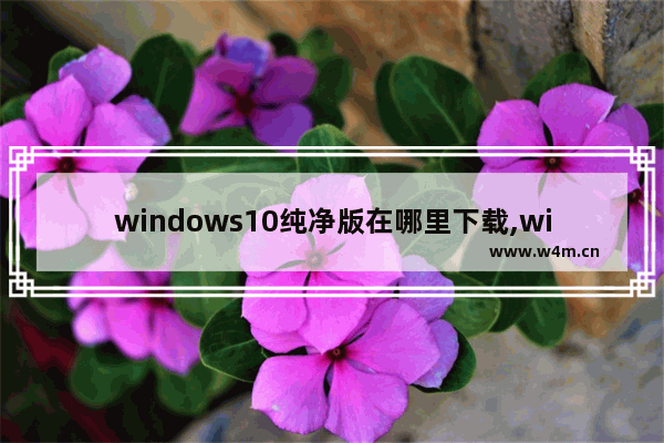 windows10纯净版在哪里下载,win10系统纯净版在哪里下载