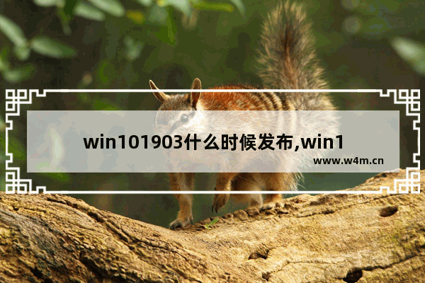 win101903什么时候发布,win101909版本千万别更新