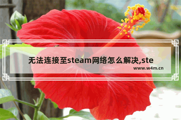 无法连接至steam网络怎么解决,steam错误无法连接至steam网络