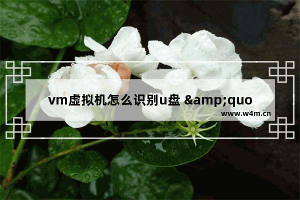 vm虚拟机怎么识别u盘 "如何使vm虚拟机读取U盘"