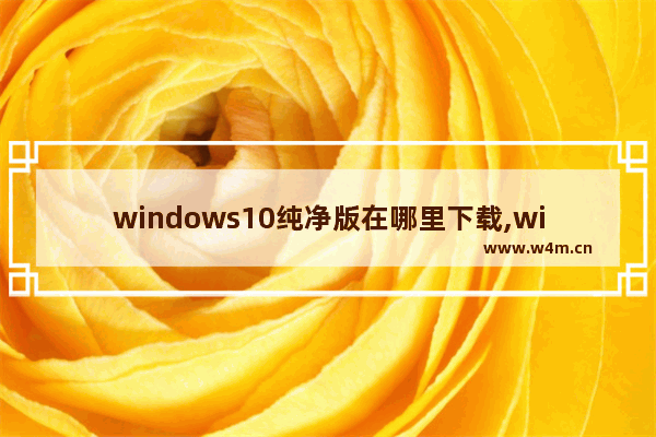 windows10纯净版在哪里下载,win10系统纯净版在哪里下载