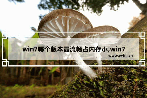 win7哪个版本最流畅占内存小,win7哪个版本最流畅稳定 评测